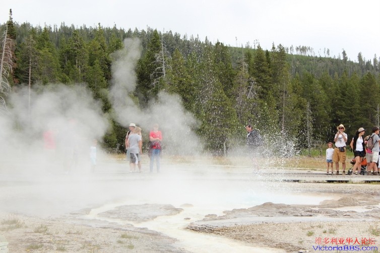 yellowstone 631.JPG